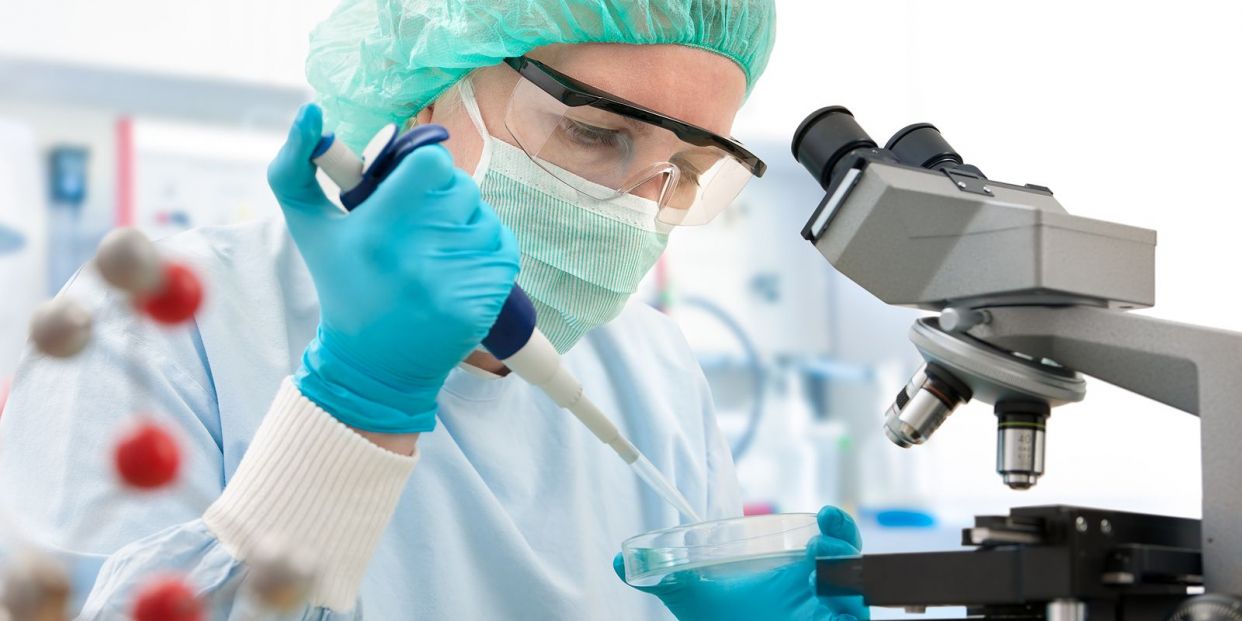 They discover a possible therapy for ELA with stem cells