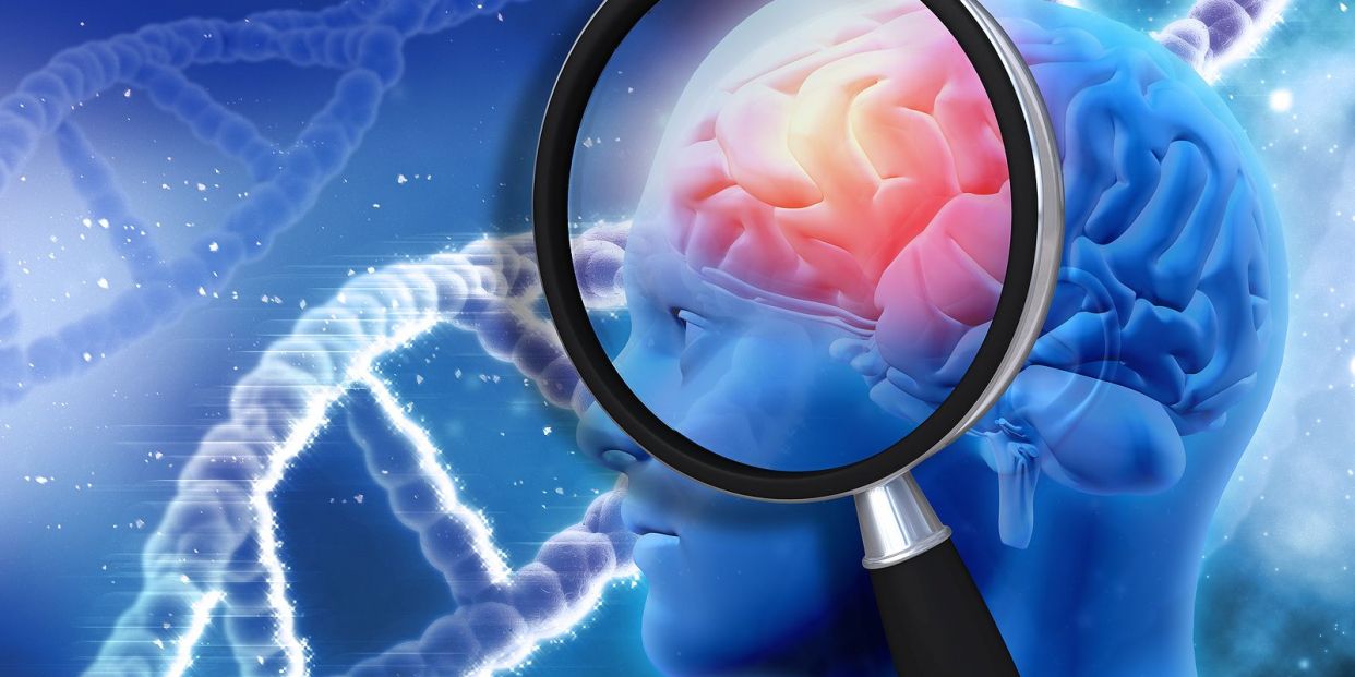 Skull microchannels, key in neurological diseases